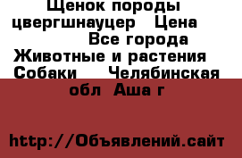 Щенок породы  цвергшнауцер › Цена ­ 30 000 - Все города Животные и растения » Собаки   . Челябинская обл.,Аша г.